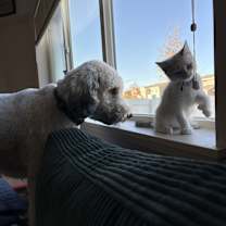 Thumbnail photo of Happy #2