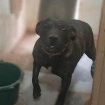 Thumbnail photo of Sergio #1