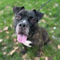 Thumbnail photo of Bud #1