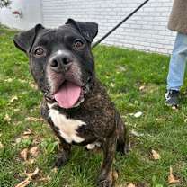 Thumbnail photo of Bud #2