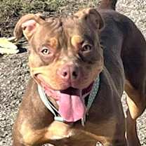 Thumbnail photo of Snickers #1