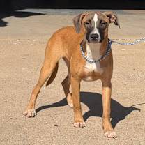 Thumbnail photo of Annabelle #1