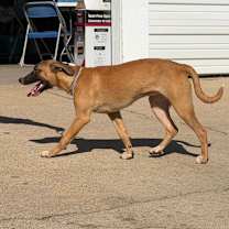 Thumbnail photo of Annabelle #3