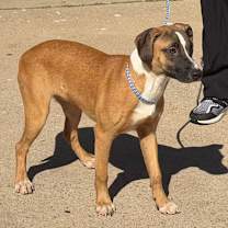 Thumbnail photo of Annabelle #4