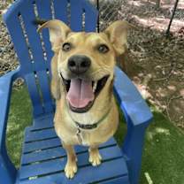 Thumbnail photo of Suzie #4