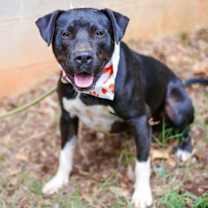 Thumbnail photo of Andy #1