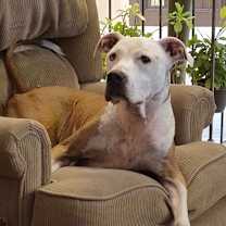 Thumbnail photo of PJ #1