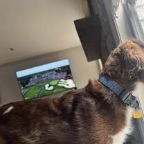 Thumbnail photo of Moose #2