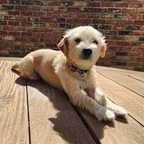 Thumbnail photo of Edyn #1