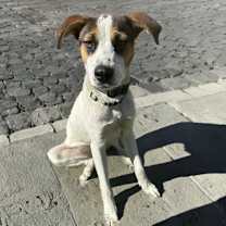 Thumbnail photo of Lukas #2