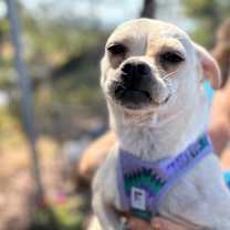 Thumbnail photo of Ezekiel  #4