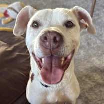 Thumbnail photo of Temi #4