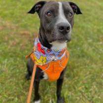 Thumbnail photo of Elliot #3