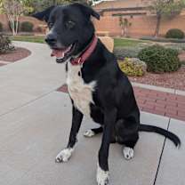 Thumbnail photo of Saturn #1