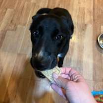 Thumbnail photo of Saturn #3