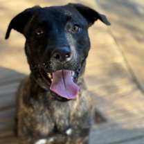 Thumbnail photo of Happy #4