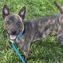 Thumbnail photo of Tootsie #2