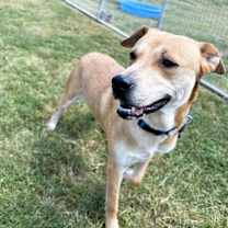 Thumbnail photo of Julie #2