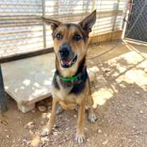 Thumbnail photo of Jackson Pollock #4