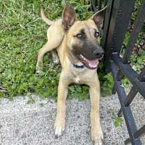 Thumbnail photo of Buddy #1