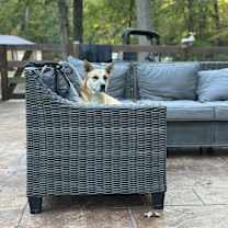 Thumbnail photo of Poncho #2