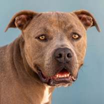 Thumbnail photo of STEVE #1