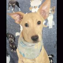 Thumbnail photo of TUCKER #3