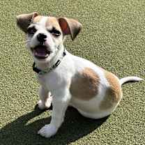 Thumbnail photo of Walter #1