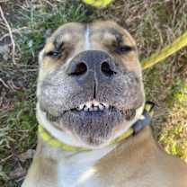 Thumbnail photo of Nola #3