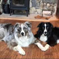 Thumbnail photo of Lia #2