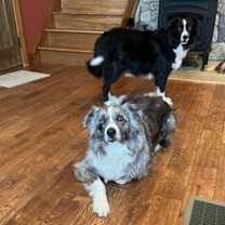 Thumbnail photo of Lia #3