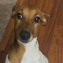 Thumbnail photo of Ford #1