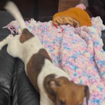 Thumbnail photo of Ford #2