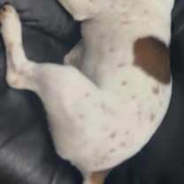 Thumbnail photo of Ford #3