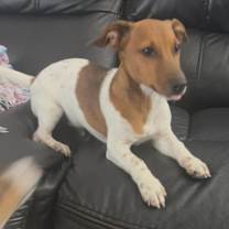 Thumbnail photo of Ford #4