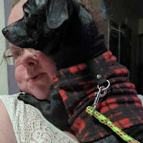 Thumbnail photo of Pickles #3