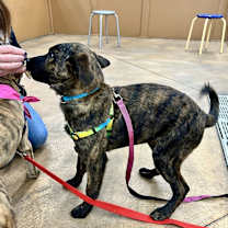 Thumbnail photo of WANDA #3