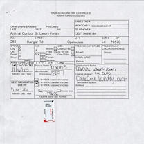 Thumbnail photo of FANNIE #3