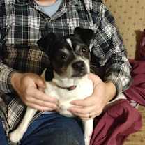 Thumbnail photo of Tobias #4