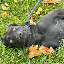 Thumbnail photo of Mae #2