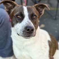 Thumbnail photo of Kayla #1