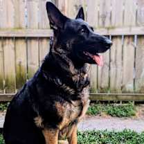 Thumbnail photo of Q #1