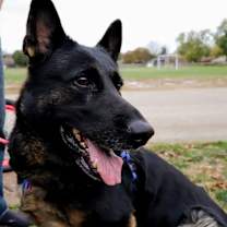 Thumbnail photo of Q #3