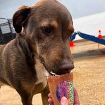 Thumbnail photo of Bandit #4