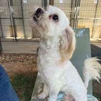 Thumbnail photo of Reginald #2