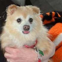 Thumbnail photo of Brady #1