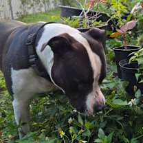 Thumbnail photo of Cloudy #3