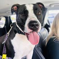 Thumbnail photo of Cloudy #4