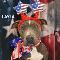Thumbnail photo of Layla #2