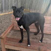 Thumbnail photo of Riff Raff 2148 #2